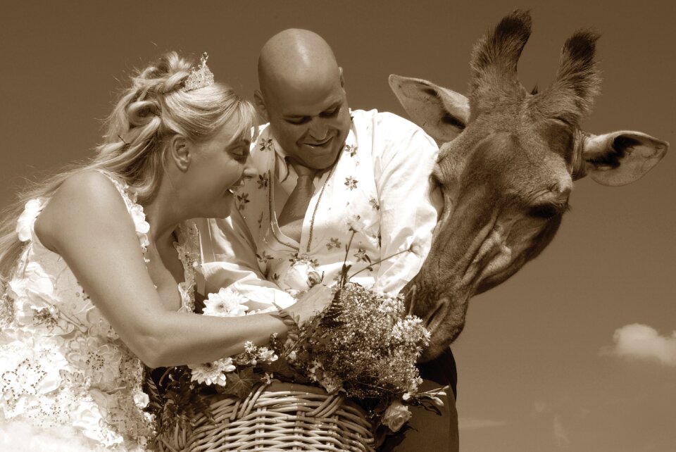 Love woman marry
