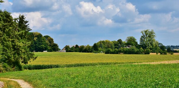 Nature summer rest photo