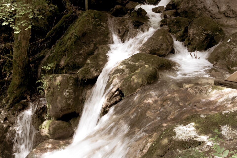 Water nature stream