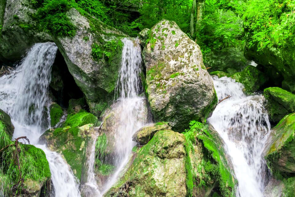 Water nature stream