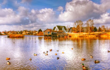 Nature lower saxony mill museum photo