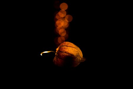 Pumpkin king bokeh smoke