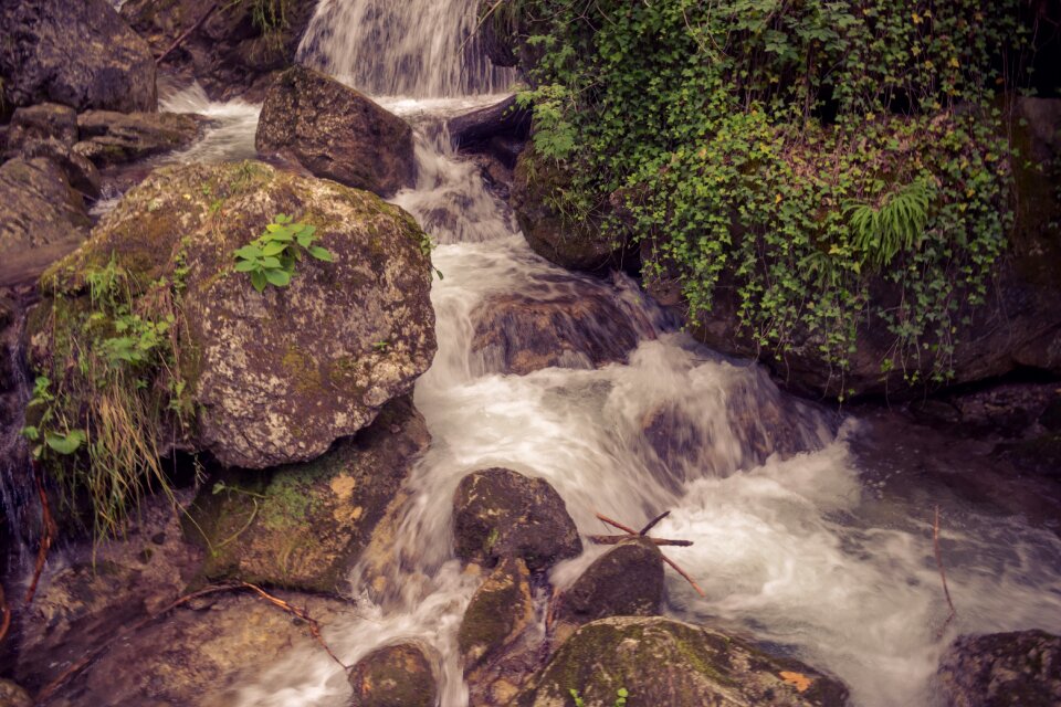 Water nature stream