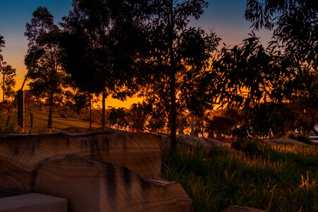 Color landscape summer