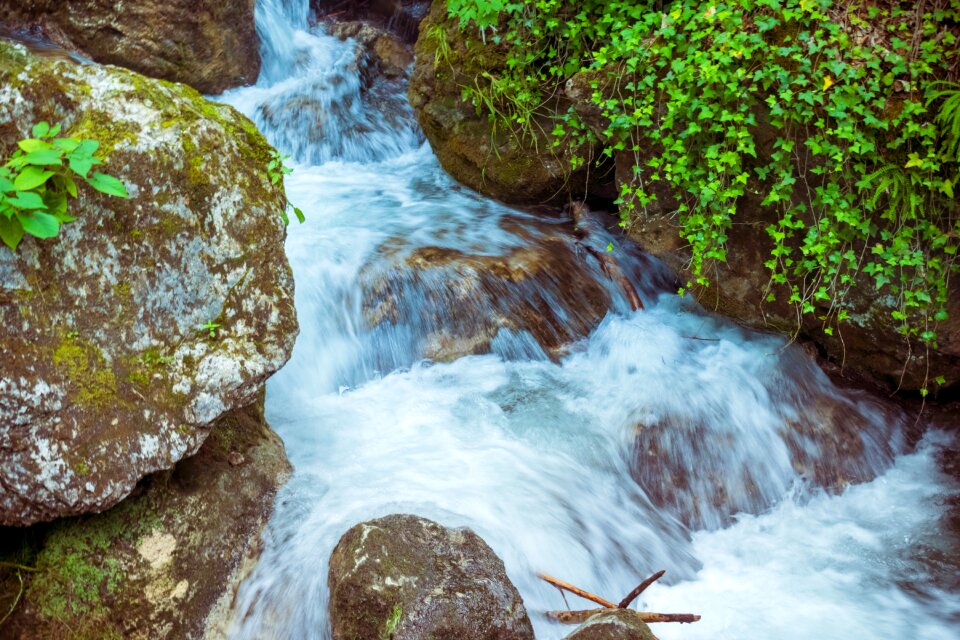Water nature stream