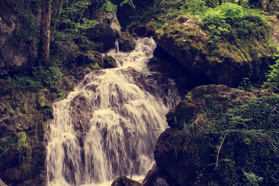 Water nature stream