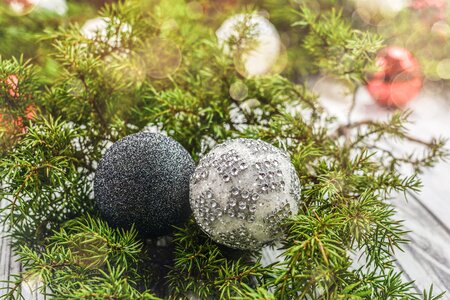 Xmas holiday celebration