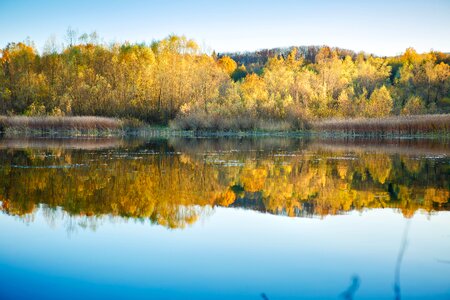 Water reflection landscape