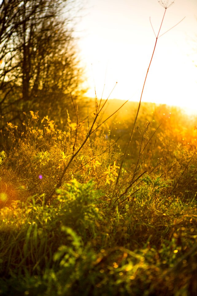Sunset twilight mood