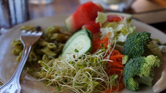 Fresh vegan organic