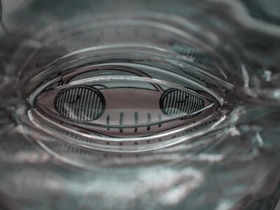 Focal point visor target