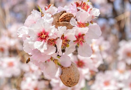 Nature season tree