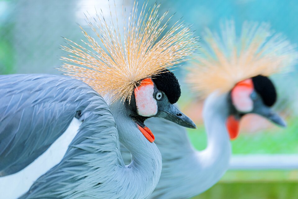 Nature colorful travel