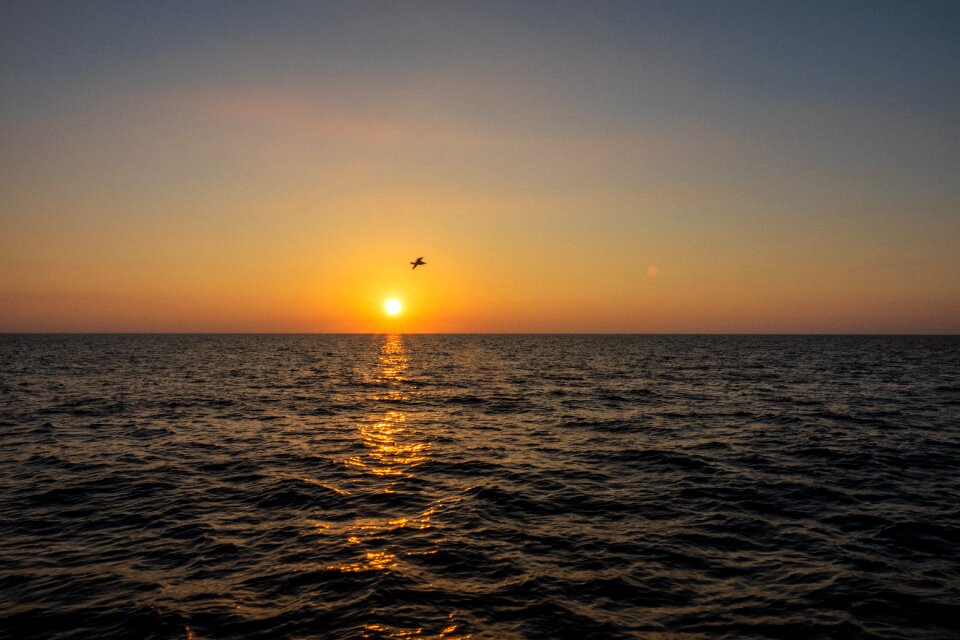 Sun ocean mood