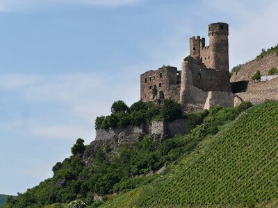 Vineyard bingen assmannshausen