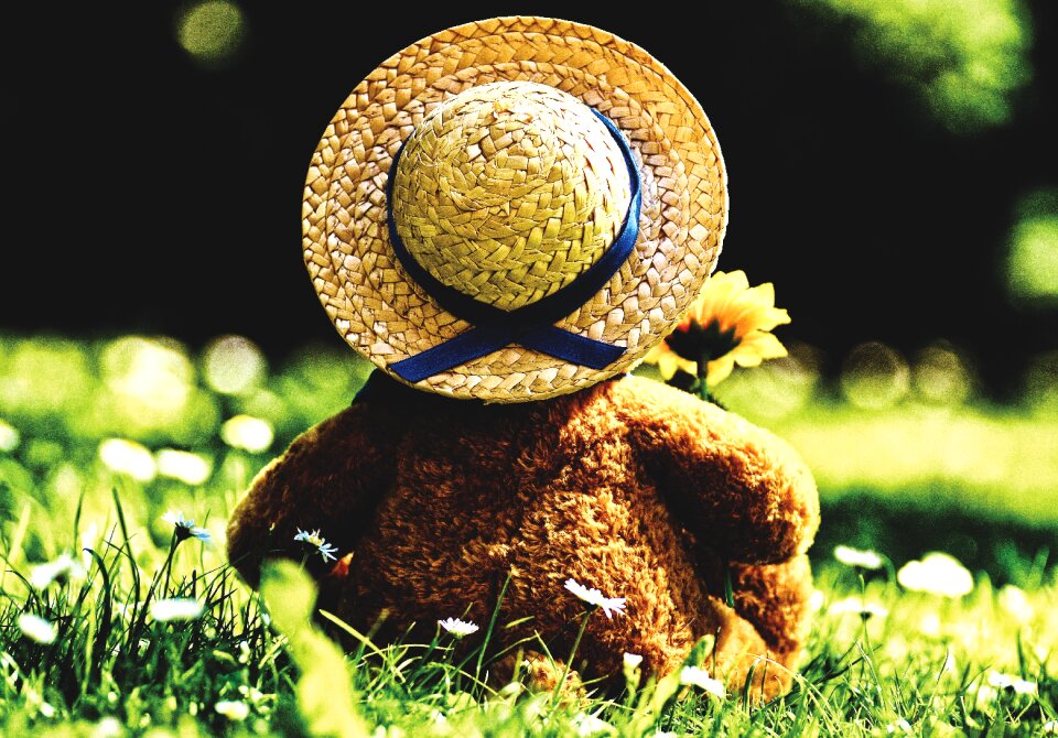 Stuffed animal teddy cute
