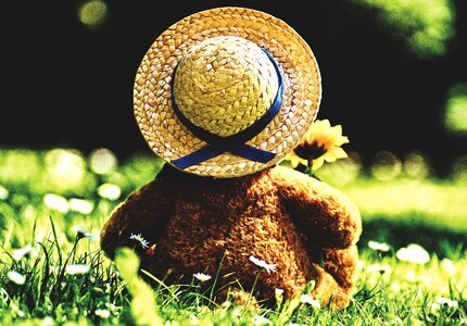 Stuffed animal teddy cute