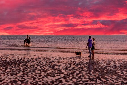 Body of water twilight horse