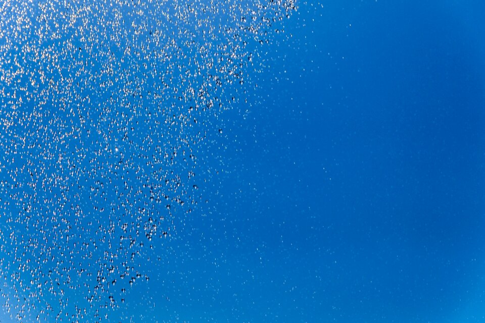 Blue the background desktop background
