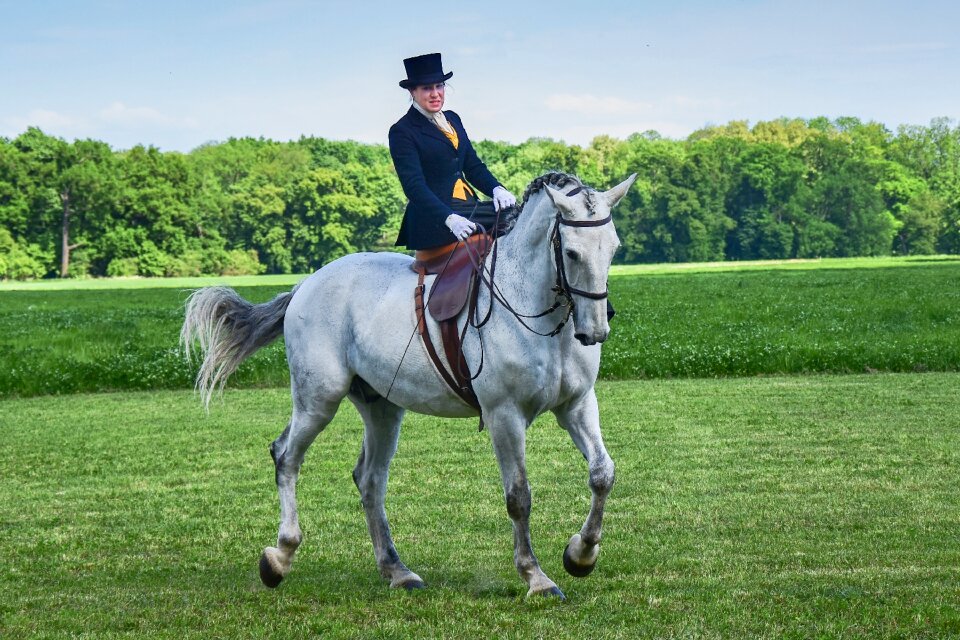 The white horse lady woman