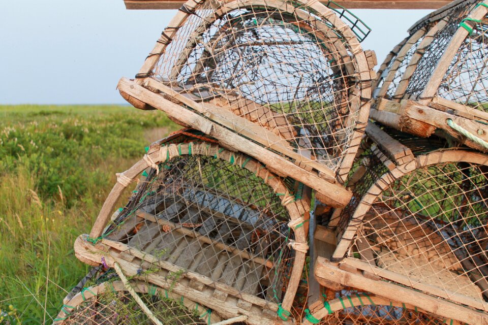 Maritime trap marine