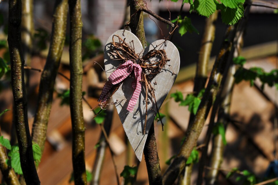 Plant garden deco decoration