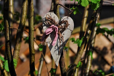 Plant garden deco decoration