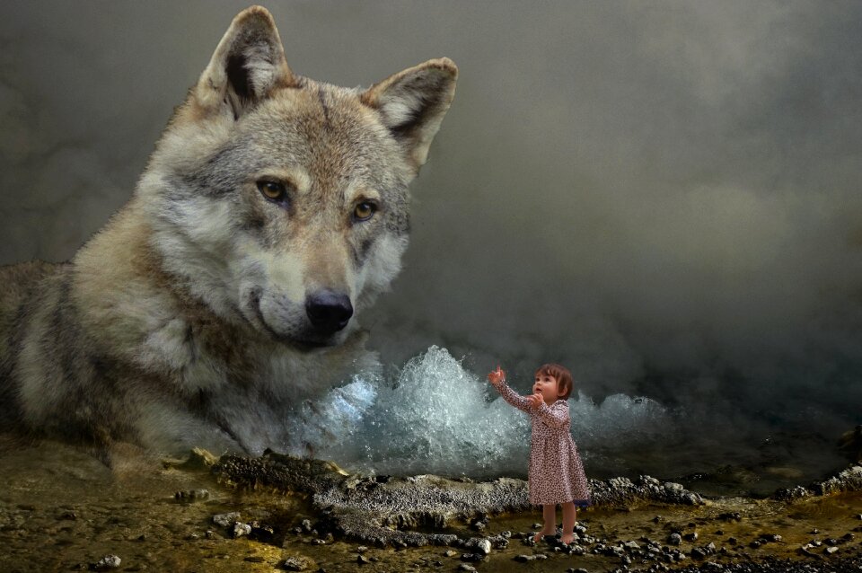 Nature animal mysterious