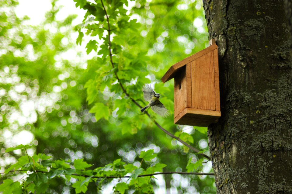 Approaching nest cabinet