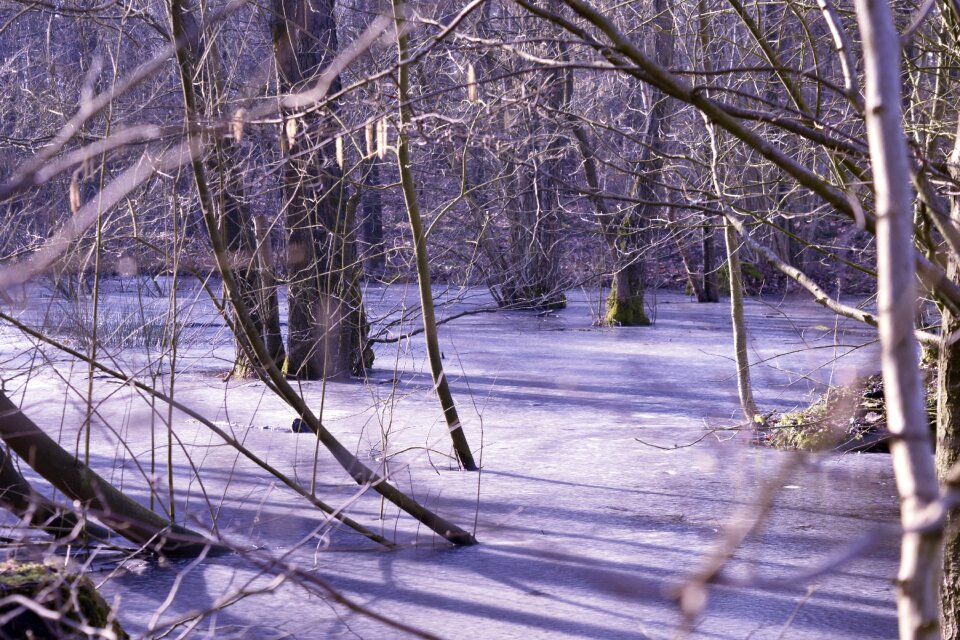 Winter frost ice