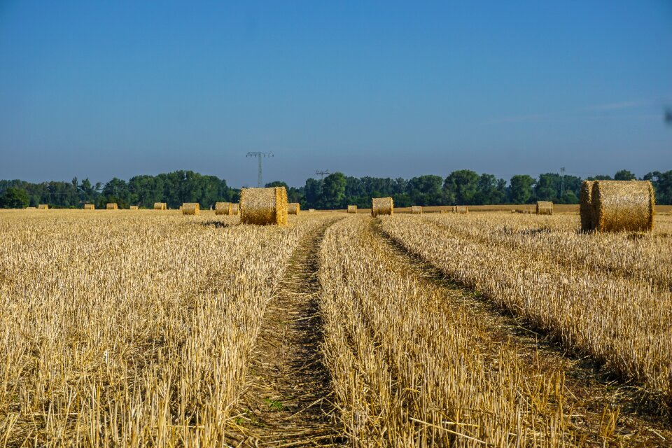 Agriculture nature rural
