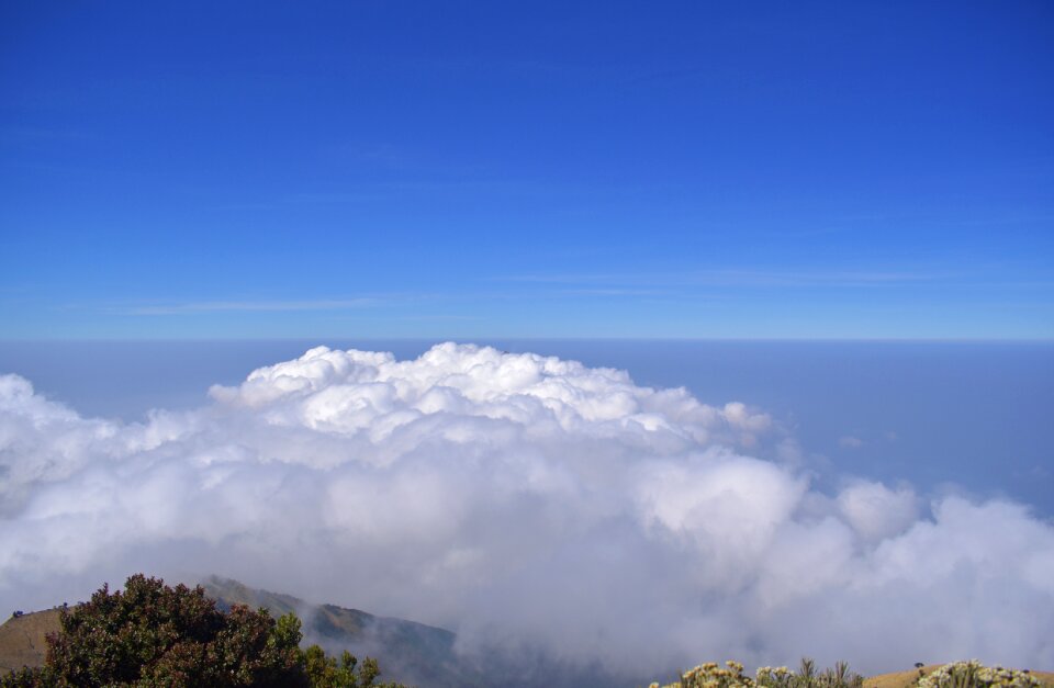 Merbabu indonesia highland