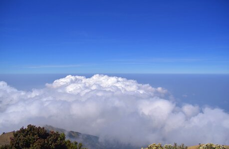 Merbabu indonesia highland