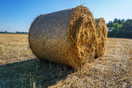 Agriculture field rural