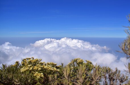 Top mountain merbabu photo