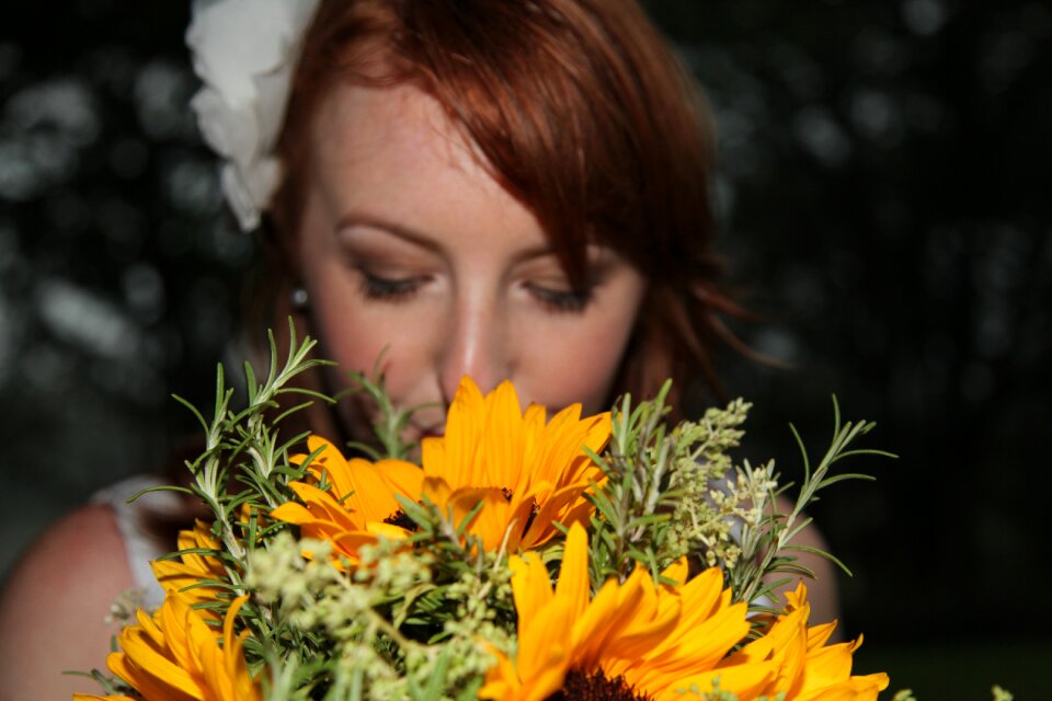 Sunflowers red hair bridge sunflower