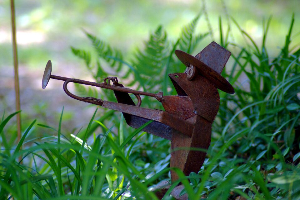 Amphibian horn trumpet