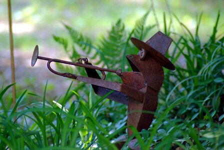 Amphibian horn trumpet photo