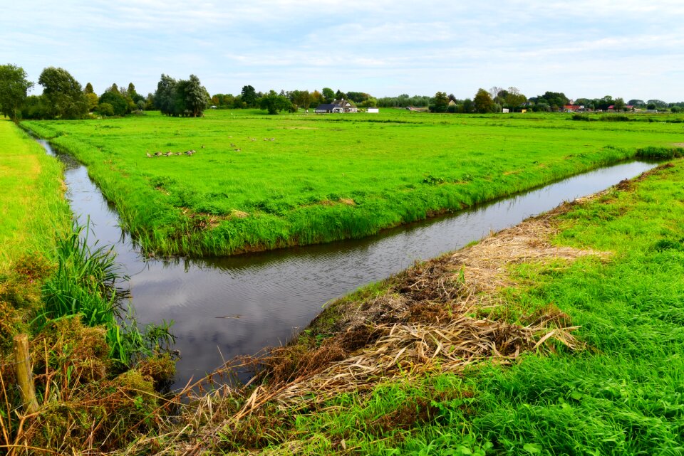 Dutch landscape polder rural