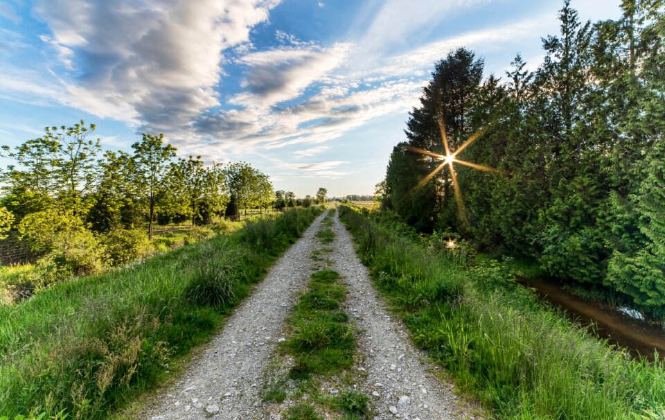 Green maple ridge road