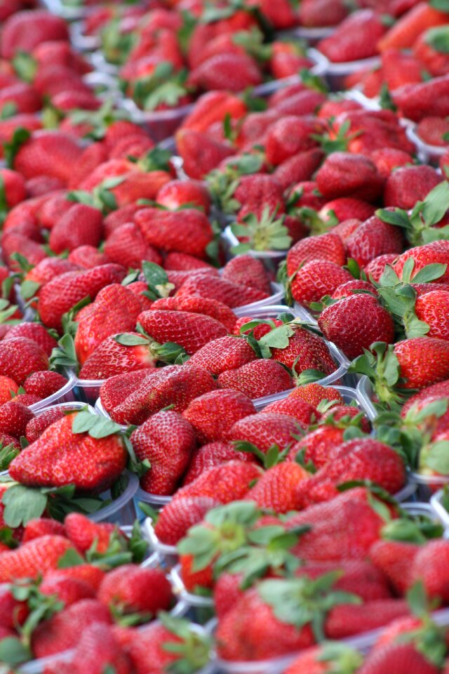 Fruit market stall fruit display