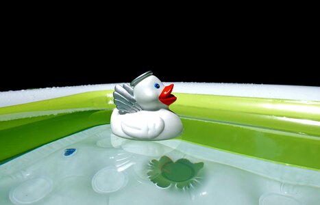 Toys squeak duck bath duck photo