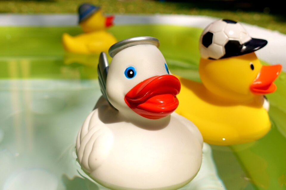 White toys squeak duck