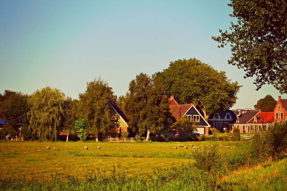 Trees landscape rural photo