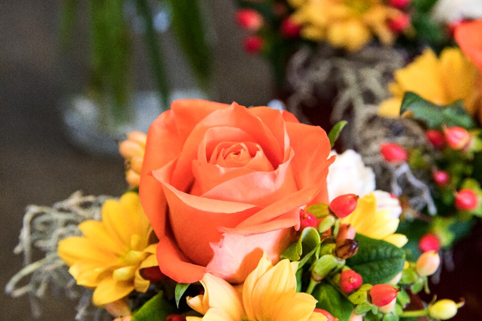 Blossom bloom floral arrangement