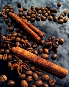Reflection coffee grains