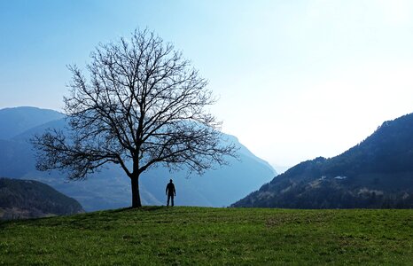 Nature outdoors forest photo