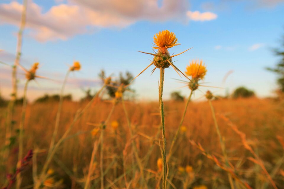 Nature countryside open air