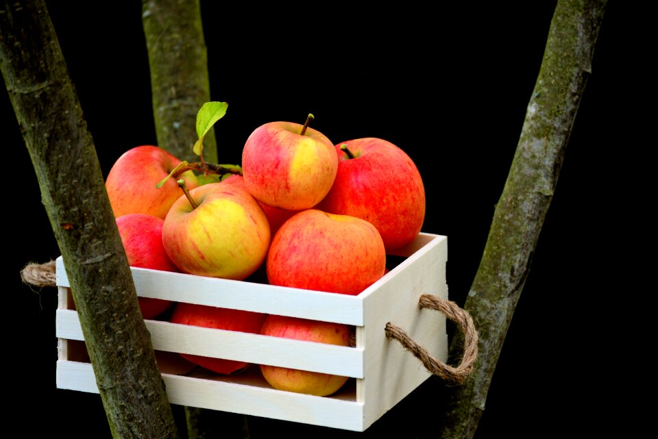 Apple crate fruit harvest
