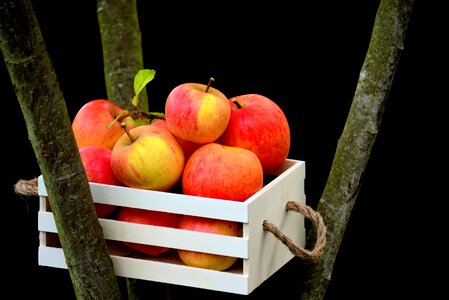 Apple crate fruit harvest
